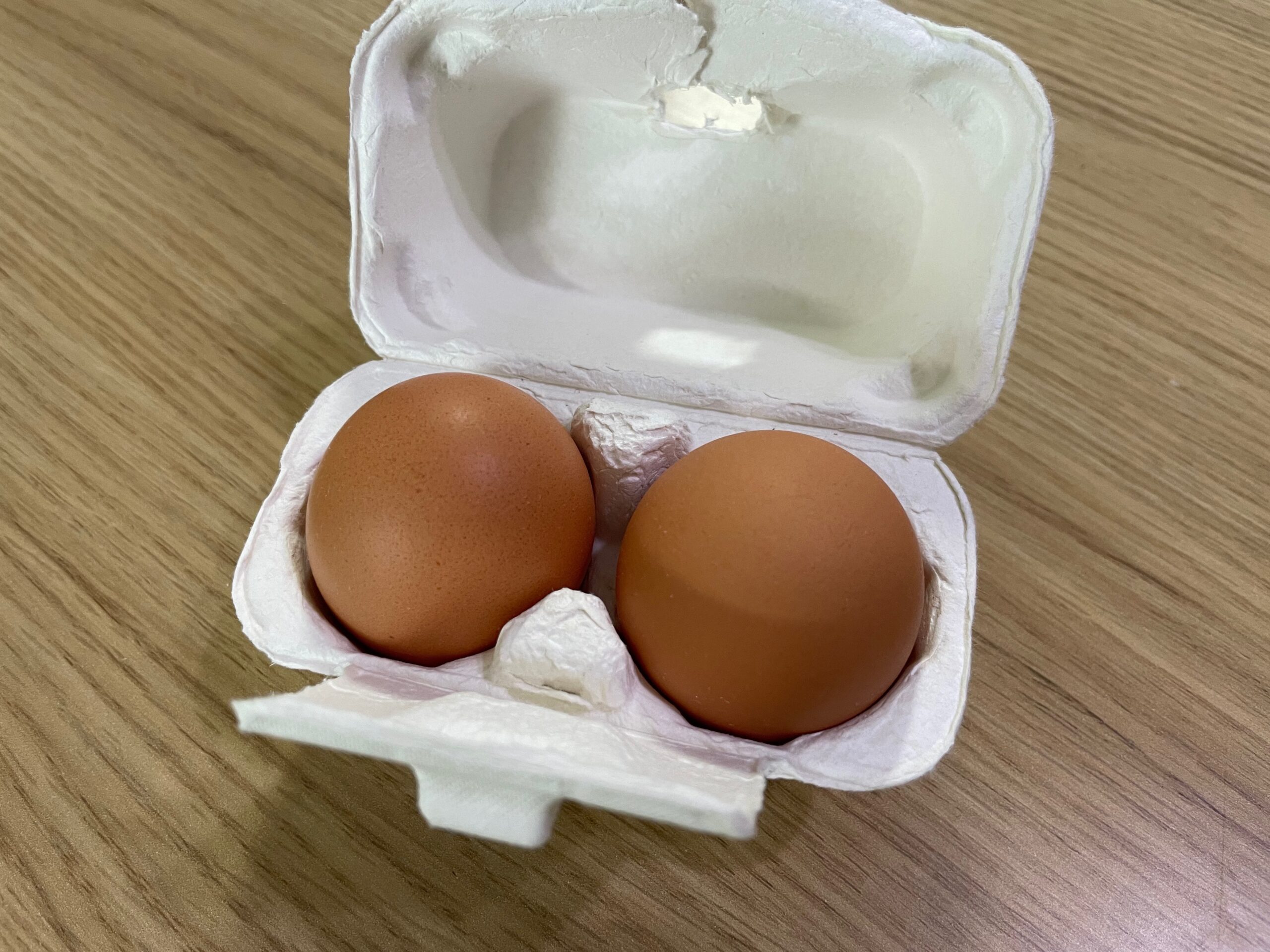 용인 곤충테마파크, 다양한 체험이 가득한 가족 나들이 장소 2 용인 곤충테마파크 유정란 훔쳐오기